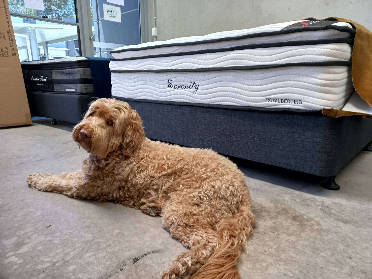 All products Brisbane Bedding