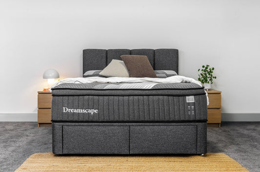 Dreamscape 2.0 Medium Feel